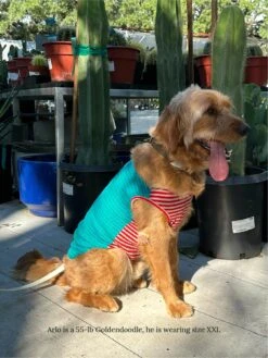 This Or That Sleeveless Shirt 16 This Or That Sleeveless Shirt -Pet Shop littlebeastus this or that shirt dog tank top 41958021824798