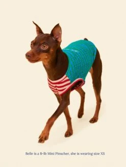 This Or That Sleeveless Shirt 20 This Or That Sleeveless Shirt -Pet Shop littlebeastus this or that tank top dog tank top 41730507866398