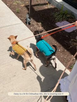 This Or That Sleeveless Shirt 19 This Or That Sleeveless Shirt -Pet Shop littlebeastus this or that tank top dog tank top 41730508325150