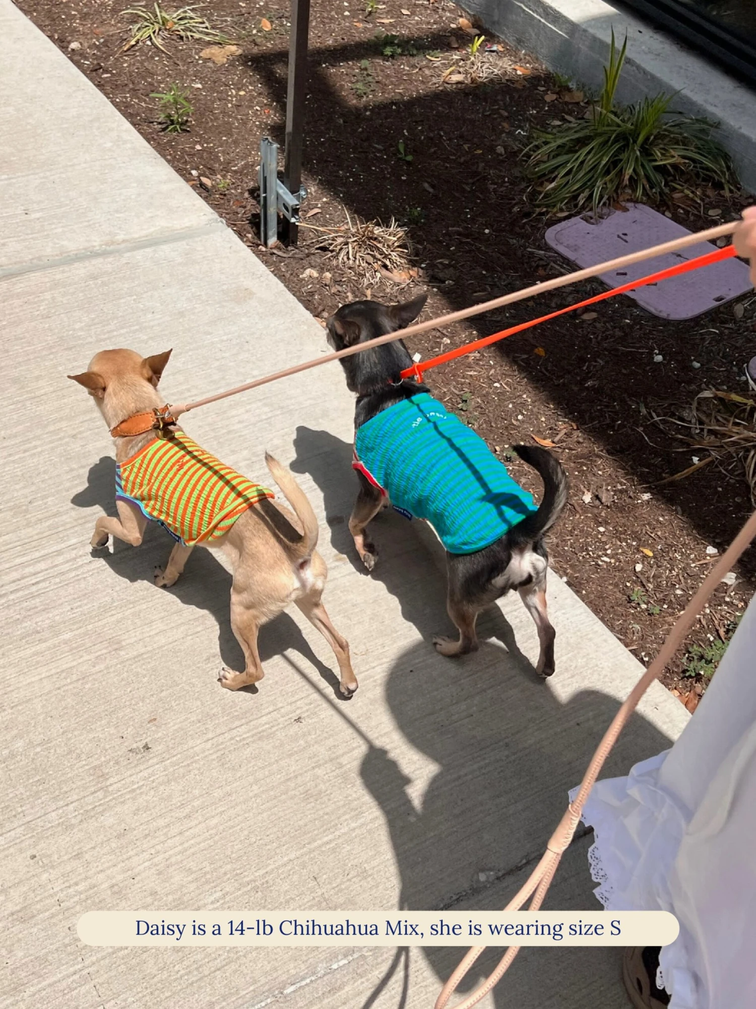 This Or That Sleeveless Shirt 9 This Or That Sleeveless Shirt - Image 7