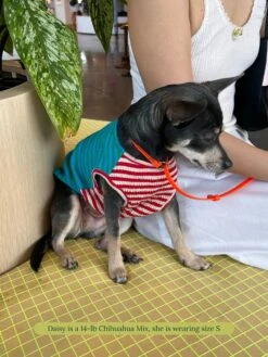 This Or That Sleeveless Shirt 17 This Or That Sleeveless Shirt -Pet Shop littlebeastus this or that tank top dog tank top 41730508456222